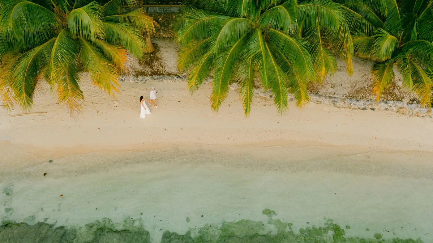 Palm-lined Samal Island beach seen from above